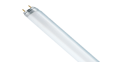 Fluorescent Lamps T8